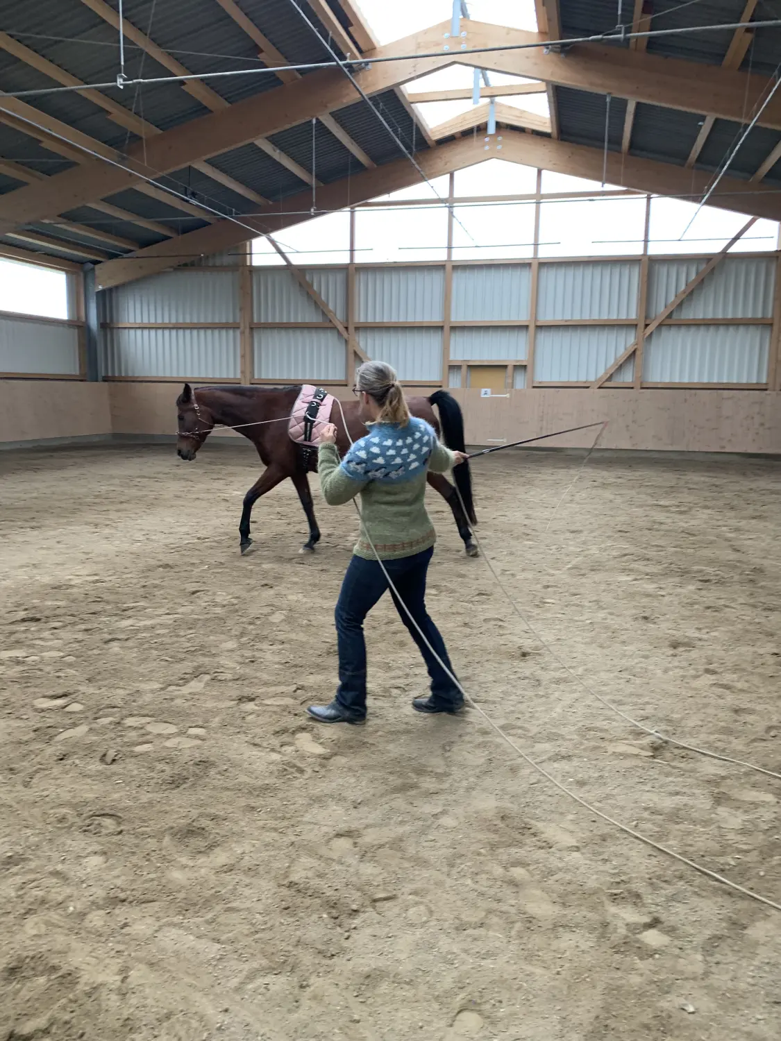 Pferd und Daniela Hubert Klassische Reitkunst